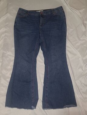Est. 1946 Jeans, Size 12P Curvy